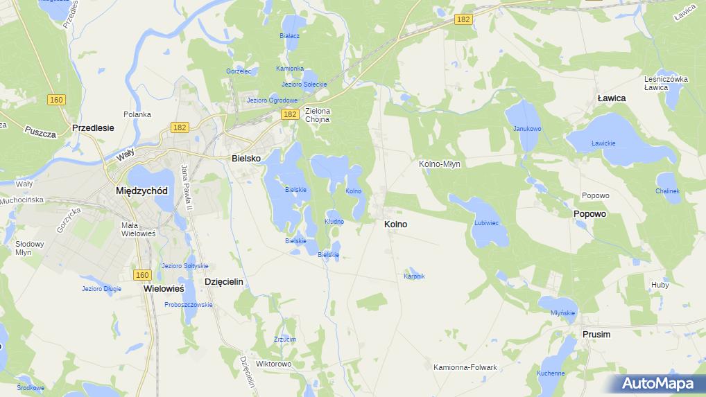 Rezerwat Kolno Międzychodzkie, Kolno, Kolno 64400 Rezerwat przyrody