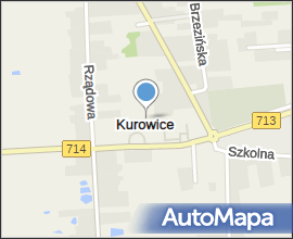 2008-02 Kurowice 4