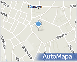 Boromeuszki Cieszyn - Zaklad Opiekunczo-Leczniczy 01