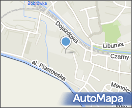 Bracki Browar Zamkowy w Cieszynie 01