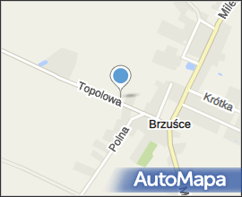 Brzuśce, sloup