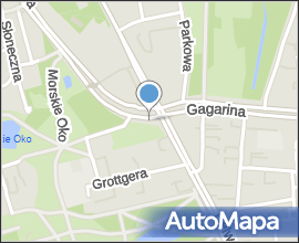 Chilean diplomatic corps car with the national flag of Chile with pall