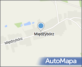 Chodnik w Międzyborzu