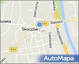 Church of SS. Peter and Paul in Skoczow 2009-07-19 (01)