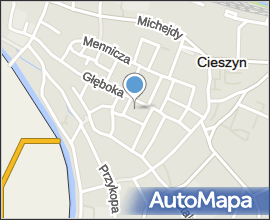 Cieszyn - Kościół św. Marii Magdaleny - Ołtarz boczny