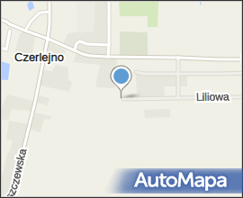 Czerlejno palac