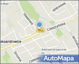Czeslaw Niemen wOpolu