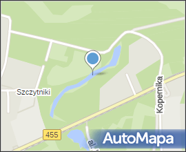 Dąb Stanki