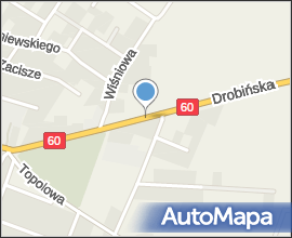 DK 60 Bielsk