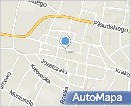 Dni Bytomia 2009 - Neo-Nowka 03