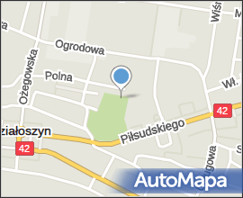 Działoszyn - Widok z lotu ptaka 2