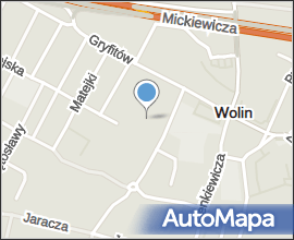 Ford Focus Policja Wolin