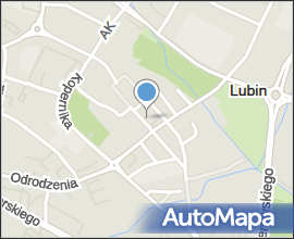 Funkcjonariusze BOR przy samochodzie prezydenta RP