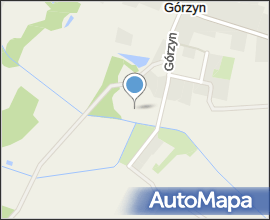 Gorzyn Palac front 2009 1