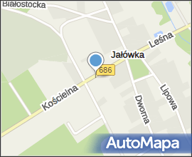 Jałówka - Cross