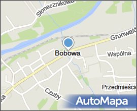 Jewish cemetery in Bobowa13