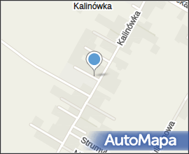 Kalinowka, szkola, tablica