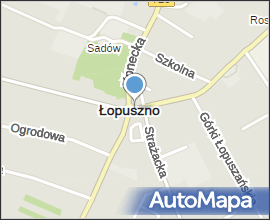 Kosciol Lopuszno 2004 07
