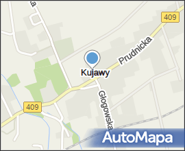 Kujawy palace