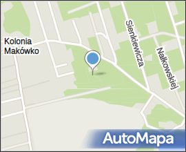 Larix decidua panorama Marki 8