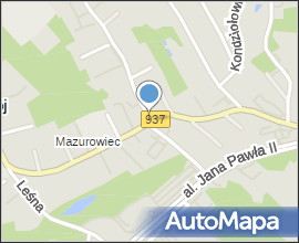 Las Kyndra w Jastrzębiu