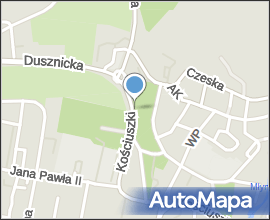 Lipa na os. Kruczkowskiego