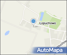 Łopuchowo (woj wielkopolskie)-dworek