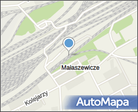 Malaszewicze-08051118