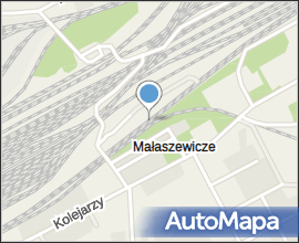 Malaszewicze-railway-station