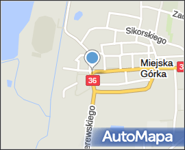 MiejskaGórkaZLotuPtaka