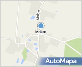 Mokre pomorskie fragment wsi 02.07.10 p
