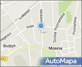 Mosina