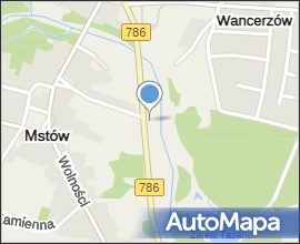 Mstów figura2 01.08.09 p