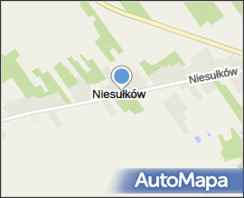 Niesułków - kościół pw. św. Wojciecha (2)