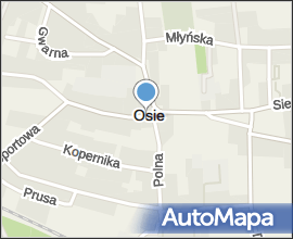 Osie symbol