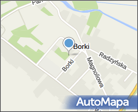 Pałac Jaźwińskich w Borkach