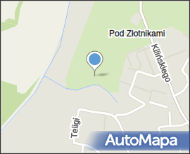 PL - Mielec - flood 2010 - Kroton 015