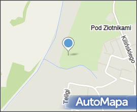 PL - Mielec - flood 2010 - Kroton 021