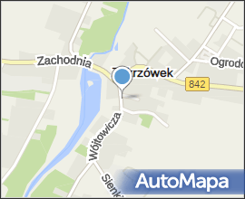 PL zakrzówek główna ulica (DW842)
