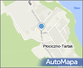 Płociczno-Tartak - Narrow gauge railway 02