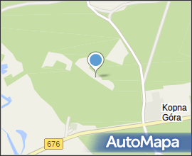 Podlaskie - Suprasl - Kopna Gora - Arboretum - Chamaecyparis pisifera &#039;Plumosa Aurea Compacta&#039;