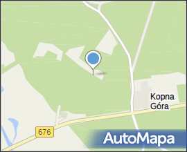 Podlaskie - Suprasl - Kopna Gora - Arboretum - Chamaecyparis pisifera