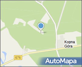 Podlaskie - Suprasl - Kopna Gora - Arboretum - Lonicera iberica - branch