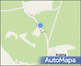 Podlaskie - Suprasl - Kopna Gora - Arboretum - Picea orientalis &#039;Aurea&#039; - branch