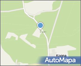 Podlaskie - Suprasl - Kopna Gora - Arboretum - Picea orientalis - plant
