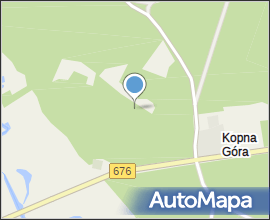 Podlaskie - Suprasl - Kopna Gora - Arboretum - Taxus × media &#039;nidiformis&#039;