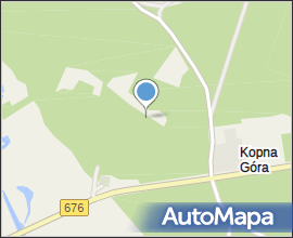 Podlaskie - Suprasl - Kopna Gora - Arboretum - Taxus baccata &#039;Fastigiata&#039;
