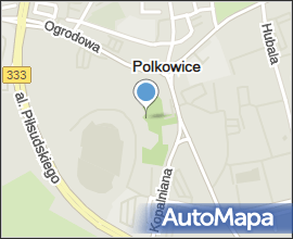 Polkowice rynek