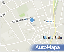 Pomnik Lutra przed kosciołem ewangelicko-augsburskim w Bielsku-Bialej
