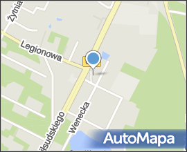 Pseudotsuga menziesii menziesii tree Marki